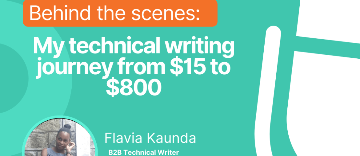 My technical writing journey from $15 to $800